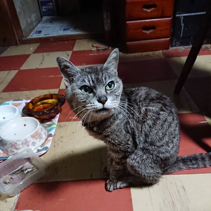 5561c9d7 d6e2 49b7 b72d f3c5c1511157 1594582348054