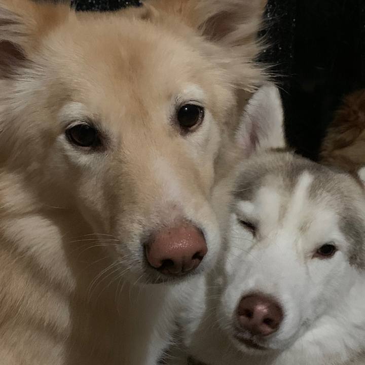 5561f25f cc83 4a15 976e 9c186a16a76b 1575683419614