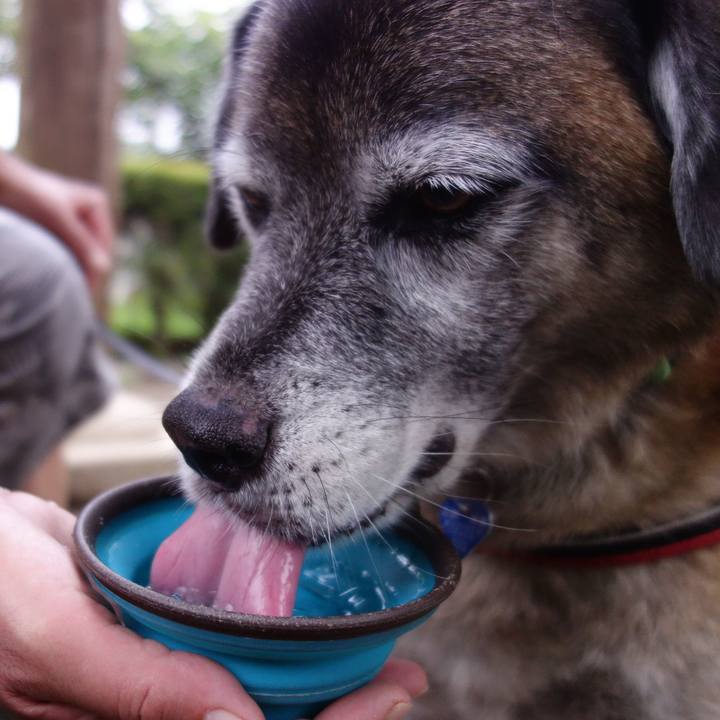 5561f2c5 3d8b 4a24 aca7 0f09a739fb27 1534032249263