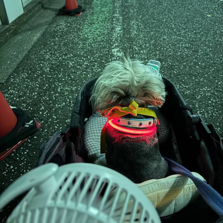 55621d90 a689 49e7 8314 b6bd6796ff91 1754663720628