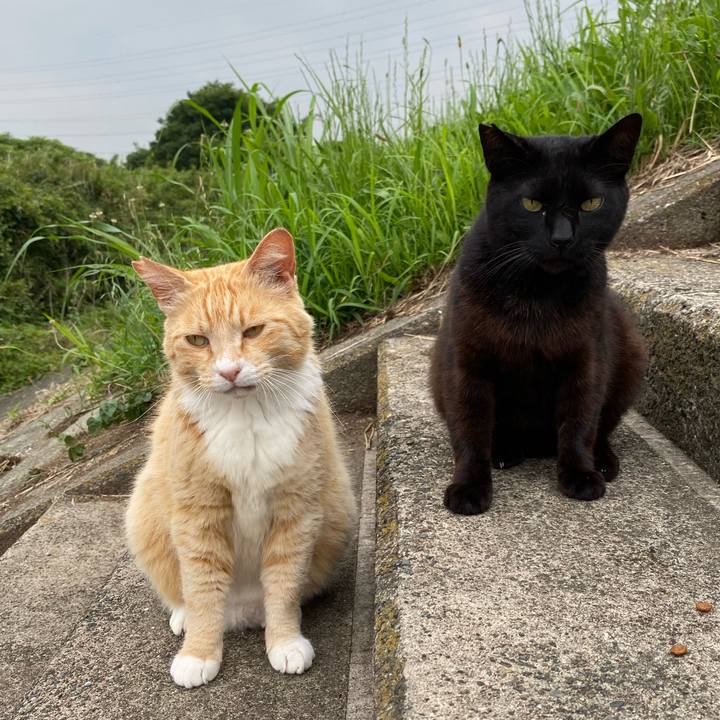 55627b1e 473b 4eac 9d6d d398c19e7269 1655890737605