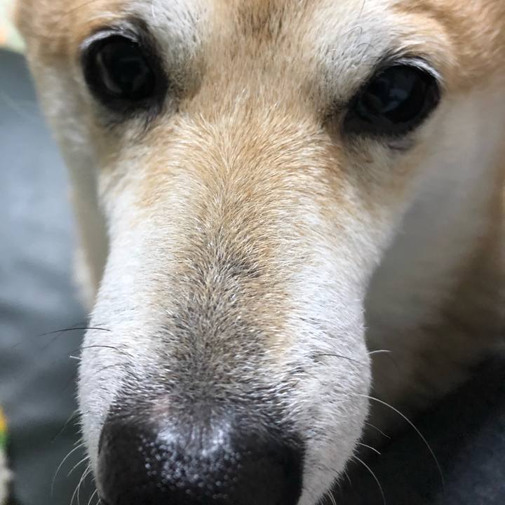 55629f64 b8ba 4f01 bde8 644c541b3386 1575891822051