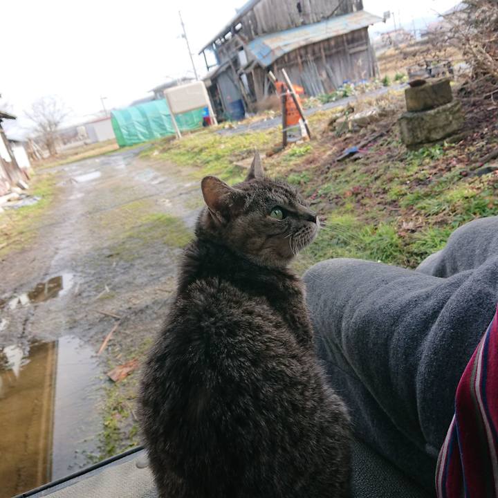 5562a5c5 fc6b 45c3 8a42 bc9d4978642d 1578798148413