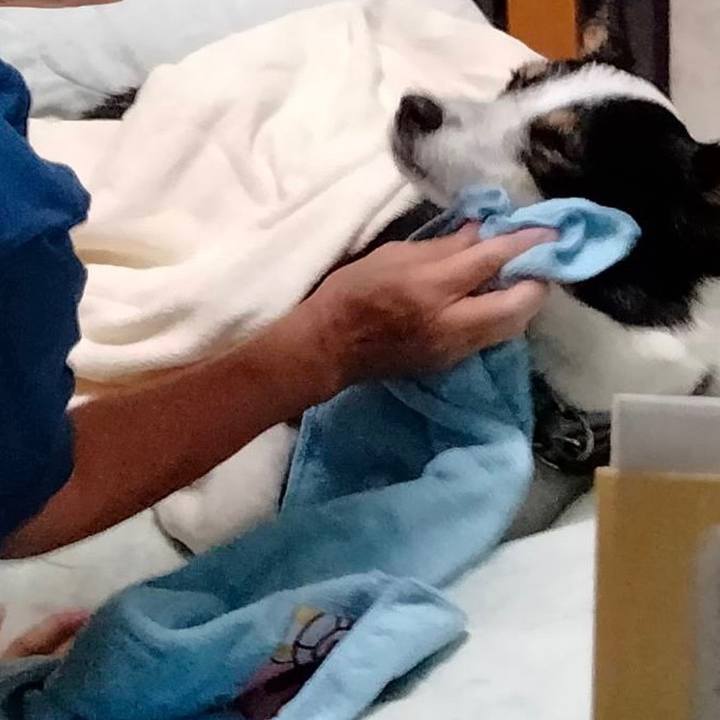 5562bd9e 82e4 4242 8e4c db9c7cbf8576 1681009486655