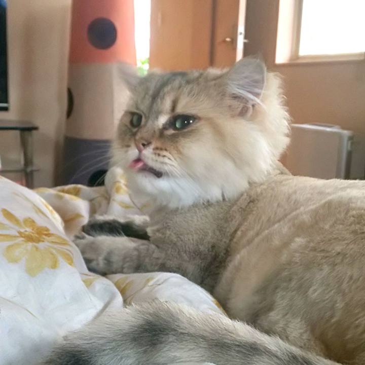 5562ec9d fc24 4194 8086 114b8454f7dd 1596317943639