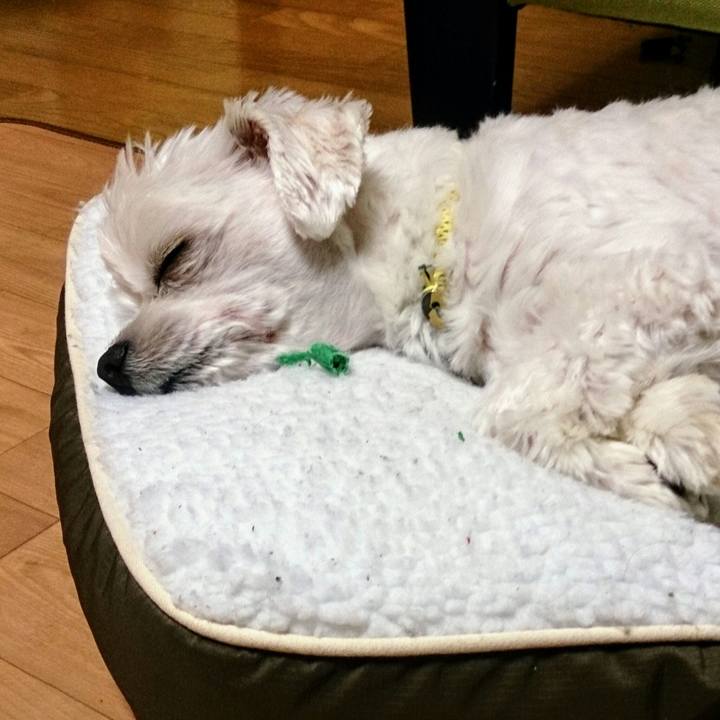 5562fb87 1eb7 4752 b74b 5f364384260b 1514377931326