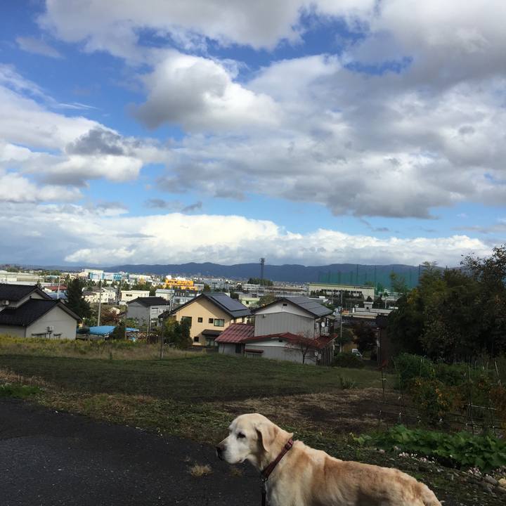 556303eb 11f2 4634 a7b7 b948e44740da 1540972898906