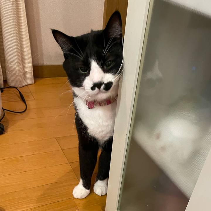 55631f5c 7bbf 4b2b 8239 d53e26e636d6 1669217703539