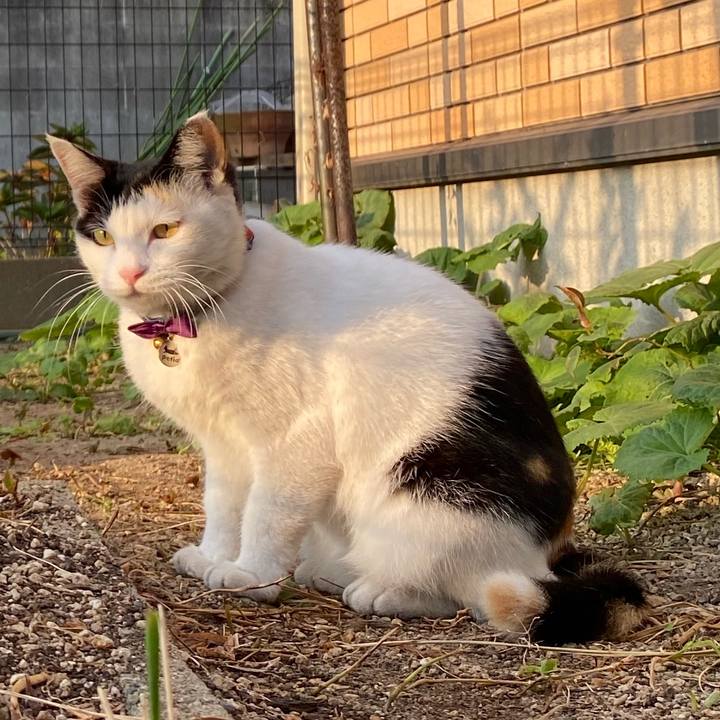 55636d22 9d5b 4369 a68e cd14db46e847 1635663724095