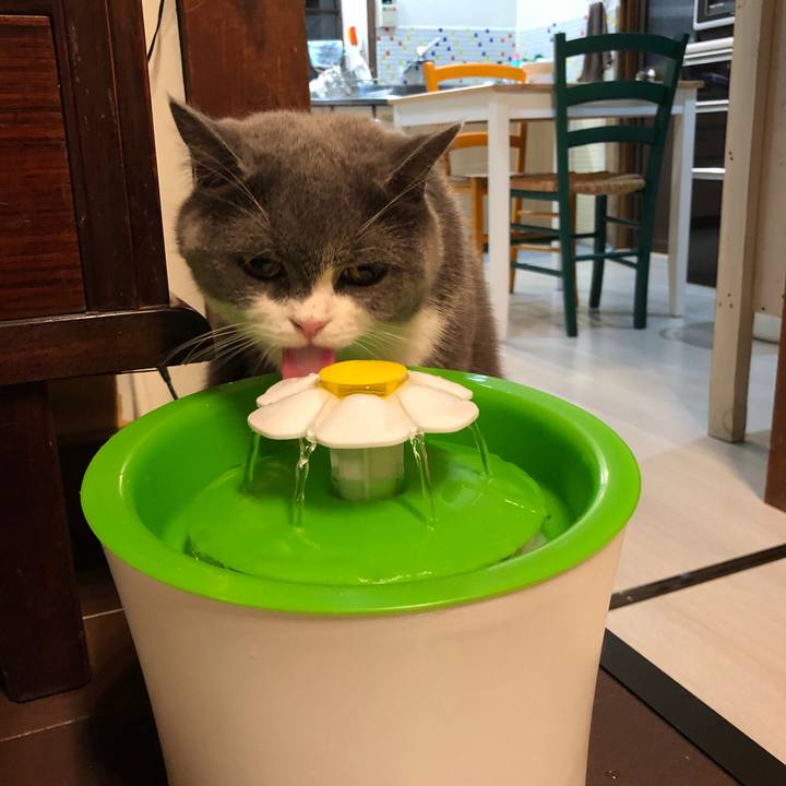 55636e59 f4d4 4a3b 9352 7a9a950385d3 1564578697878