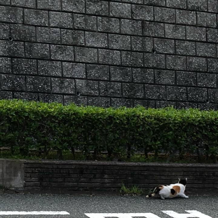 556378ac 40b3 4fde 99f1 f1f483a36bfe 1624271817682