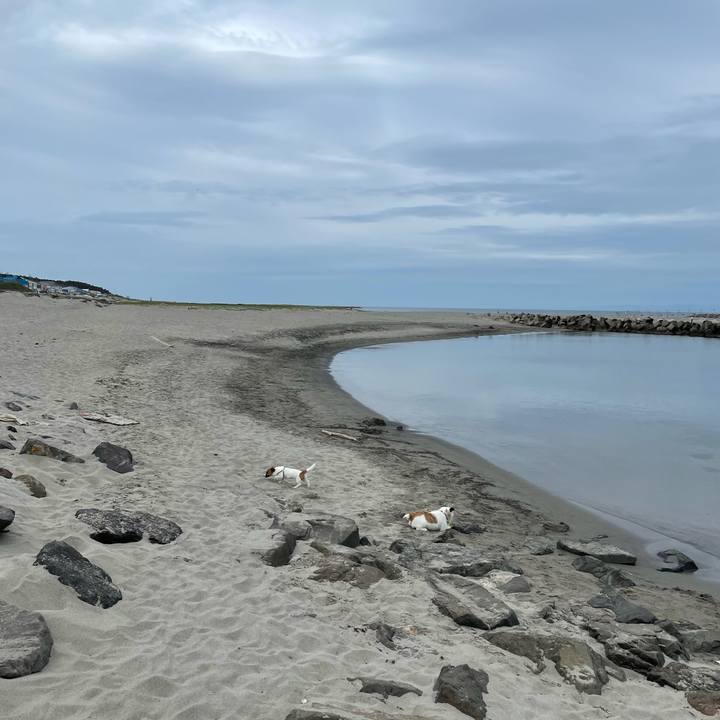 5563916b c836 4cac a79e c6401deca560 1621122439374