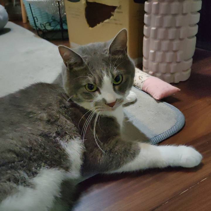 5563a408 003c 4b0e 9d64 961184198ea3 1718689502437