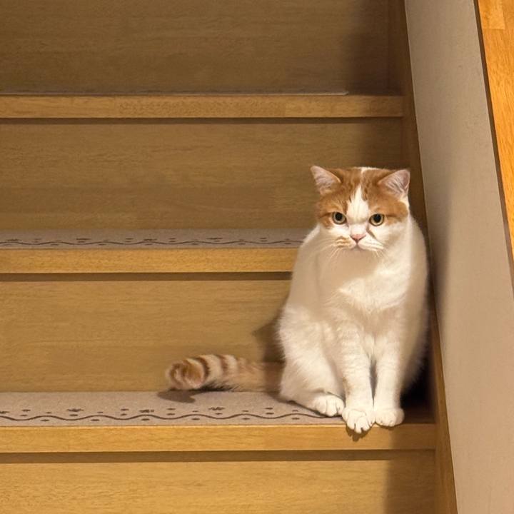 5563b2f5 91ce 4d14 a9e5 2a965c3a1943 1765283080056