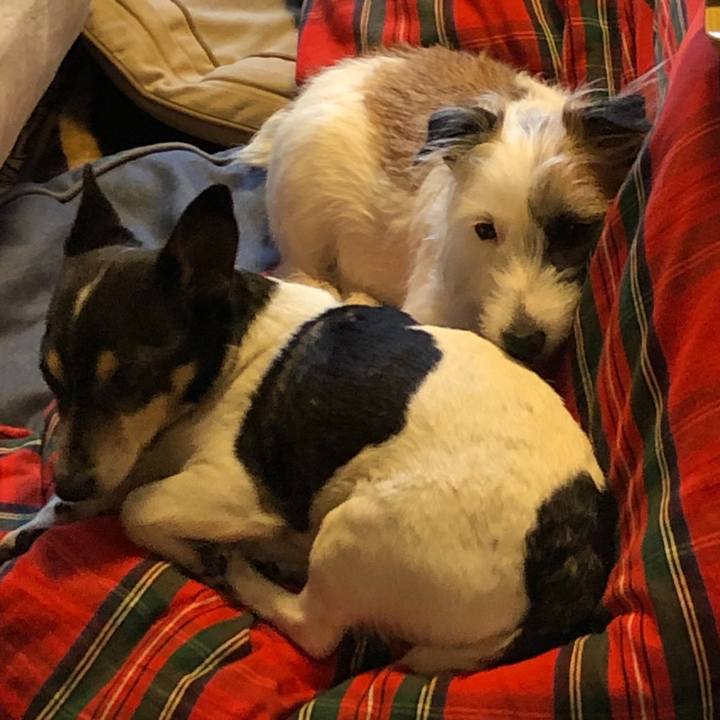 5563cc23 edaa 488b 8493 794a556dd30c 1552438640245