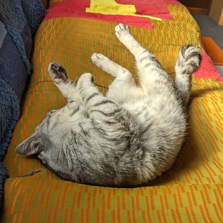 5563f7fb bd8d 485b a68f 6b8a6a7d27cf 1713047762161