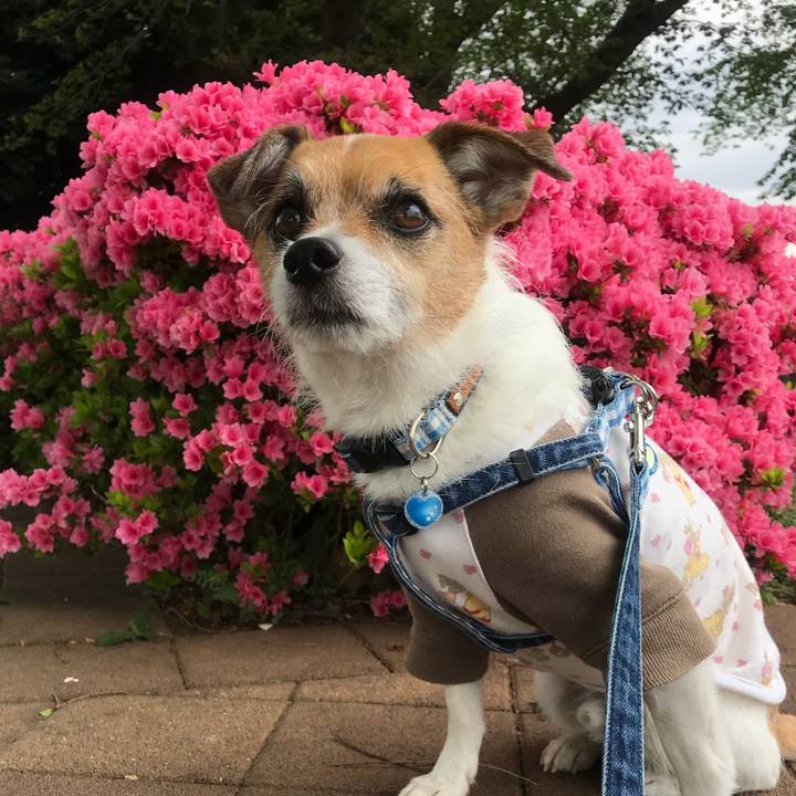 55644c4d 47eb 48cc aaff 4e312344e0e2 1523668498614