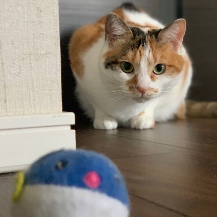 55646863 5b62 4477 99f5 51397029b2fb 1652815439782