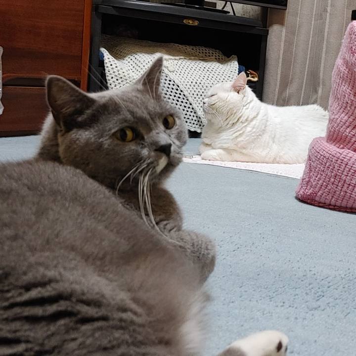 556498b9 f94d 47a3 b402 e44bf9102891 1704035459583