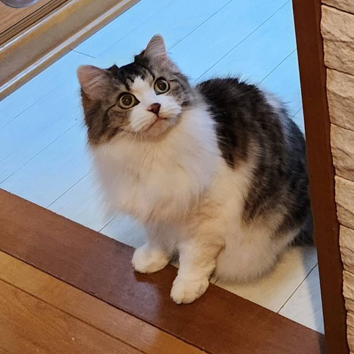 55649903 9889 49a8 af54 cf1767d57fb6 1759567733450