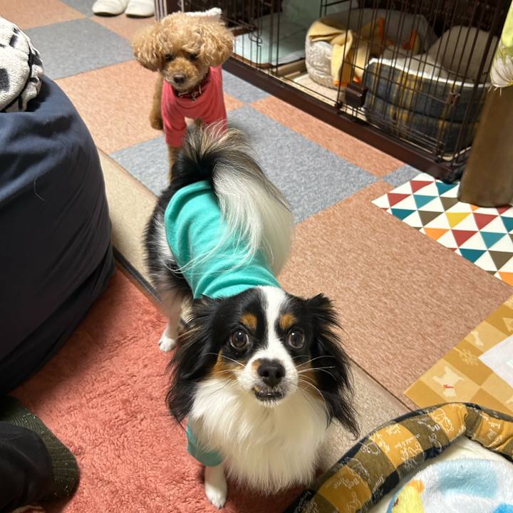 5565067b edab 4d48 bab5 8a2cef9d2074 1761039591135