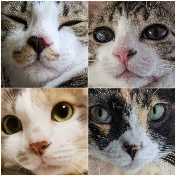 55653d69 03be 4579 aa2b eb0b8db611f1 1730790805873