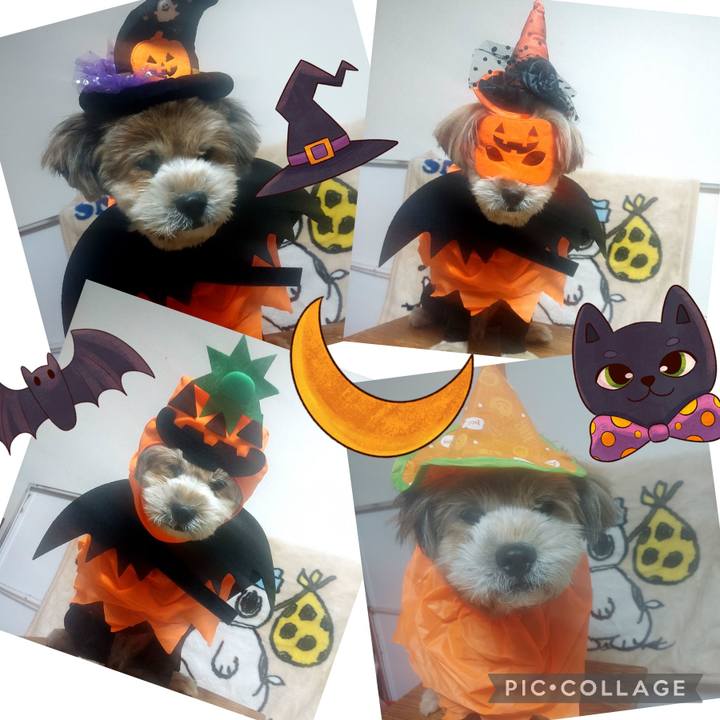 556554ae c908 4c5b 8080 e0de3306e6e2 1667211480382