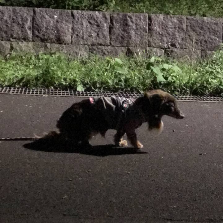 5565812b 49e1 46b0 a7bc 45be3900c4f9 1589196759100