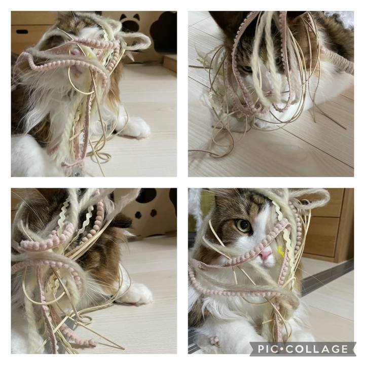 55659e45 66b0 43b8 9801 07e289007b49 1692481239277