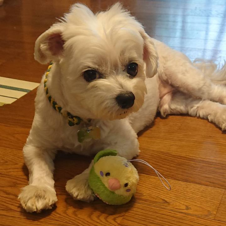 5565ae71 5818 4732 9c64 63ea88bcc36e 1596534721867