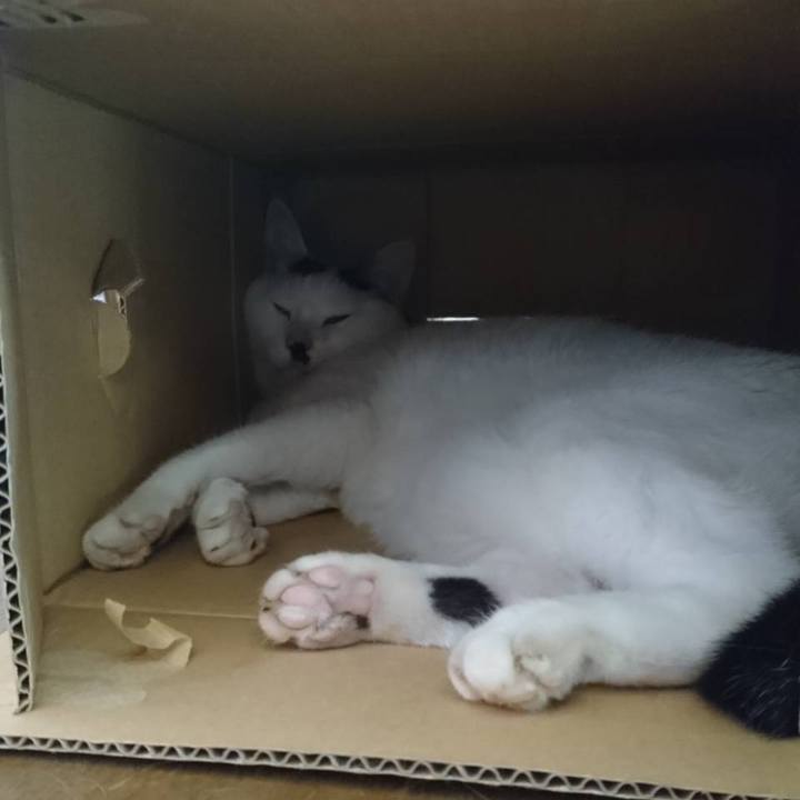 5565b77b 691d 4d06 b731 99f2084fc2fe 1597111203441