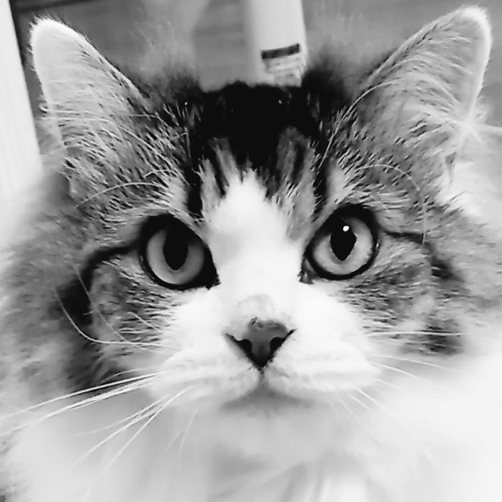 55662121 b5b0 47e5 945b 29150a387870 1624872649034