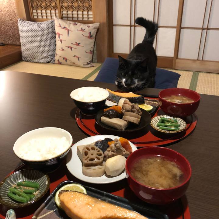 5566634e 3ff0 4987 9e1d a35dd3d2a46b 1549966984369