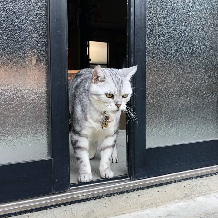 5566845f d84d 4ec1 8408 5a4a758458b6 1600705398958