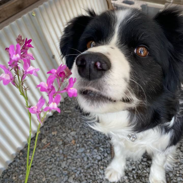 55668782 9d4b 48c8 865a 0e413e14f623 1619853025960