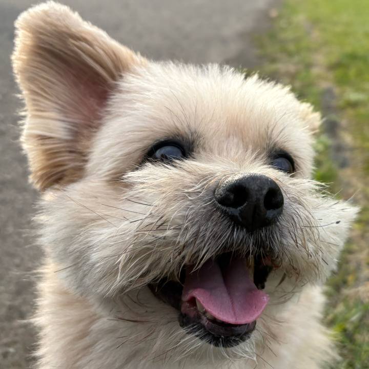 5566d2c4 bc18 4416 9ef3 edfc4080668b 1762244175374