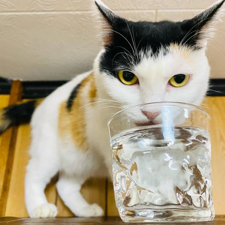 5566da08 f88b 426d a9f6 31a9b56149fb 1662731179780