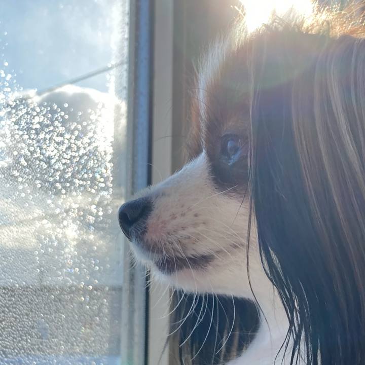 5566e47d cf75 4871 9243 5fd26a2bdf63 1640305126913