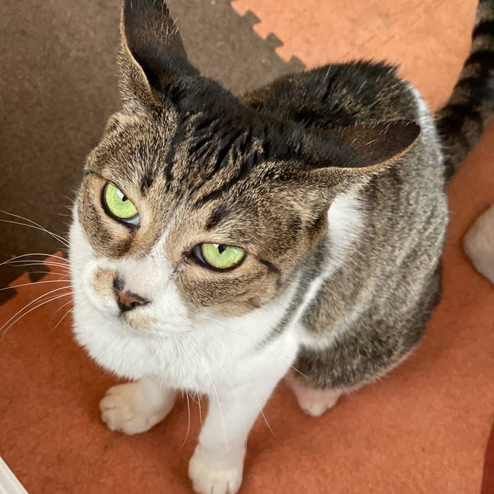 5566e84d 9f78 465d af20 48e0ca3c186f 1617843068473