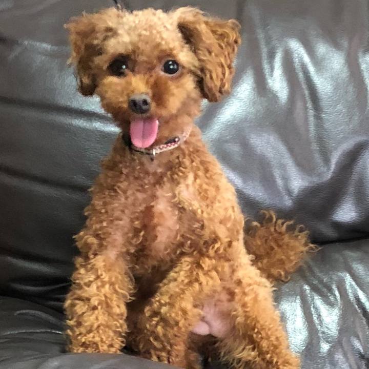 5567344d 938a 4880 9108 e42c414b0828 1534892808089