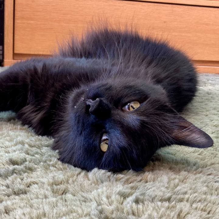 556738d6 1eca 4da1 b075 06527da755c5 1750136584560