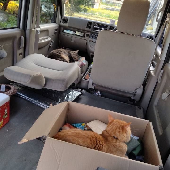 55675a66 5ad6 47f2 9d21 758eef4b63d4 1689930834627