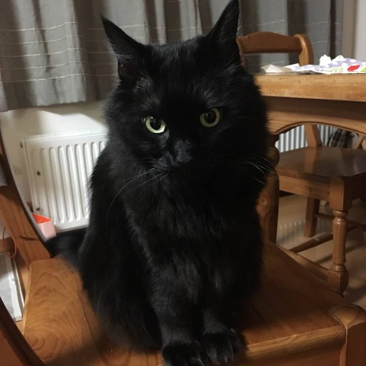 5567aebc ab40 48d7 92c6 9a2664482349 1557960379182