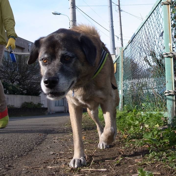 5567f8de 1469 4bca a1fa 38eee77cf208 1583539139116