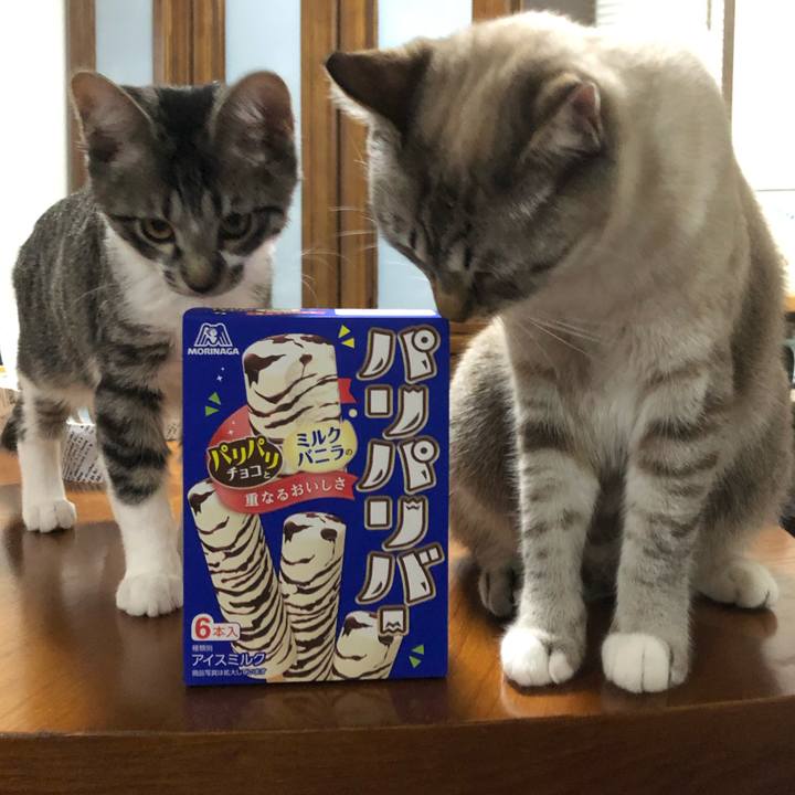 556860b0 0116 4544 995e b06dc7f0dd7b 1639730554048