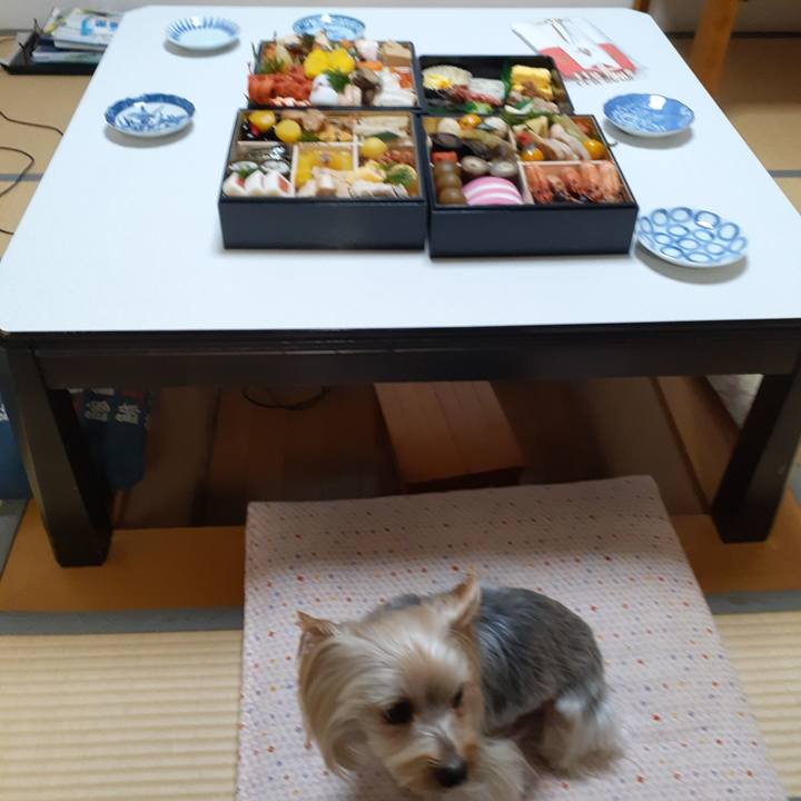 55687341 1209 4f8f 8cdd 7d05238b010f 1609536622473