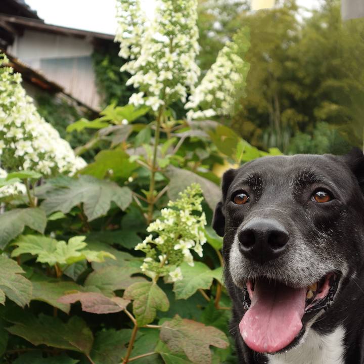 55687397 22ec 461b 96aa f48b33f0fd73 1716425211076