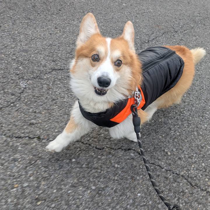 55687cf2 b1f2 4f42 b6d4 0c88f894e57d 1765854372633