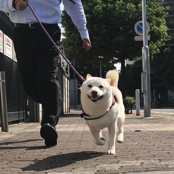 55688d66 4469 43df a896 9587fb573dc3 1529624573269