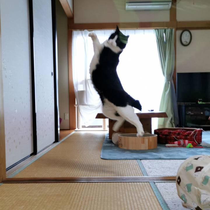 55689288 d3cf 4d05 8d4a e02a26308d90 1638758012170